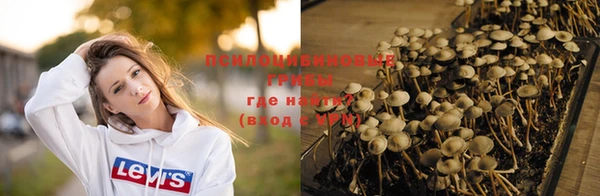 PSILOCYBIN Алексин