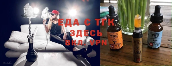 гидра Абаза