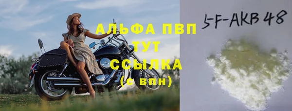 гидра Абаза