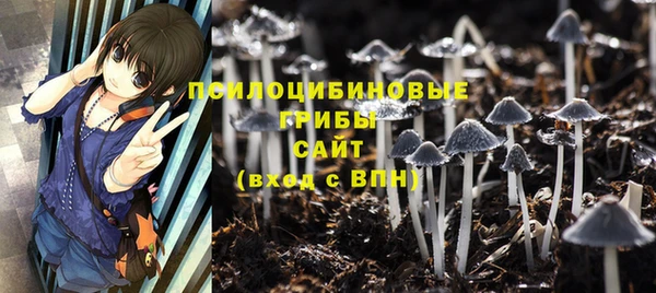 гидра Абаза