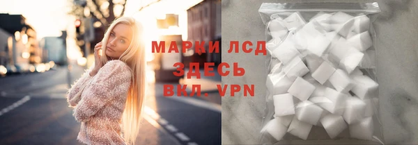 гидра Абаза