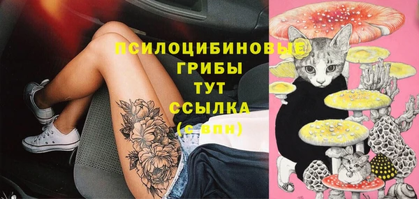 гидра Абаза