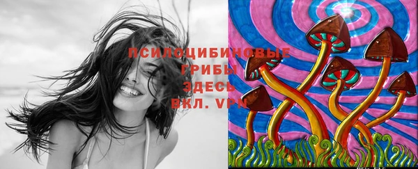 гидра Абаза
