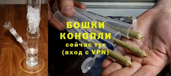 гидра Абаза