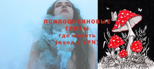 PSILOCYBIN Алексин