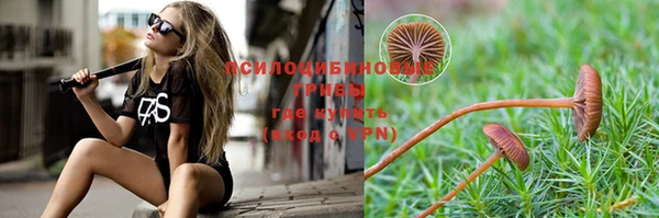PSILOCYBIN Алексин